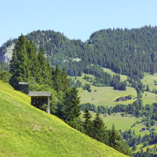 DAS EDELWEISS Salzburg Mountain Resort, Austria - Gharieni Group